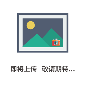 印度：*二大報紙市場